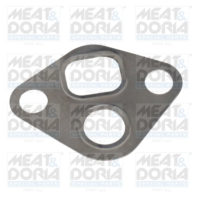 Gasket, EGR valve
